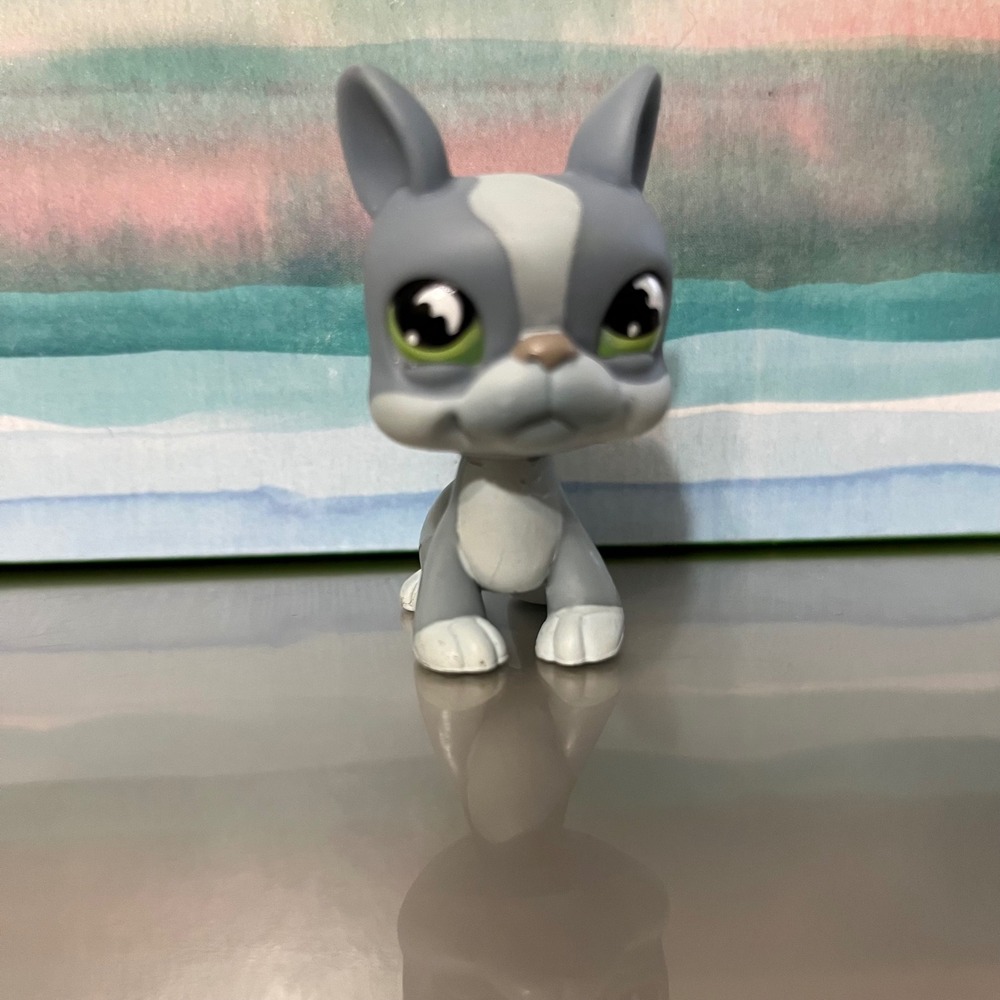 Littlest Pet Shop 857 Boston Terrier Dog‎ Grey White Green Eyes Authentic Hasbro